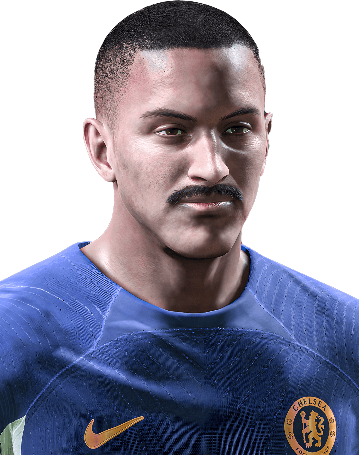LTP Terry 4